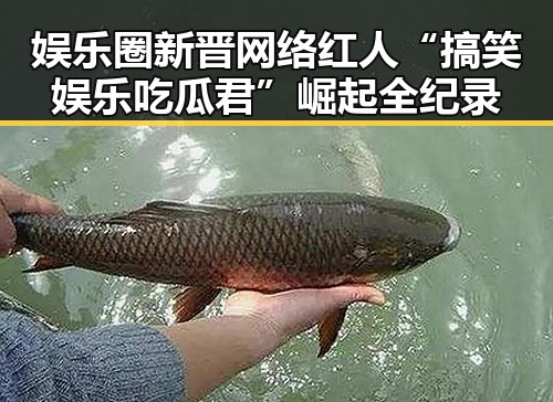 娱乐圈新晋网络红人“搞笑娱乐吃瓜君”崛起全纪录