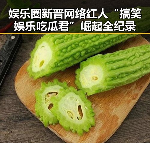 娱乐圈新晋网络红人“搞笑娱乐吃瓜君”崛起全纪录